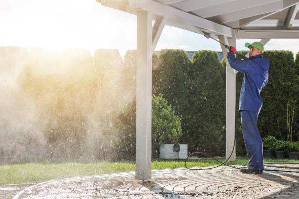 Best Oil Spill Cleanup  in Wheat Ridge, CO